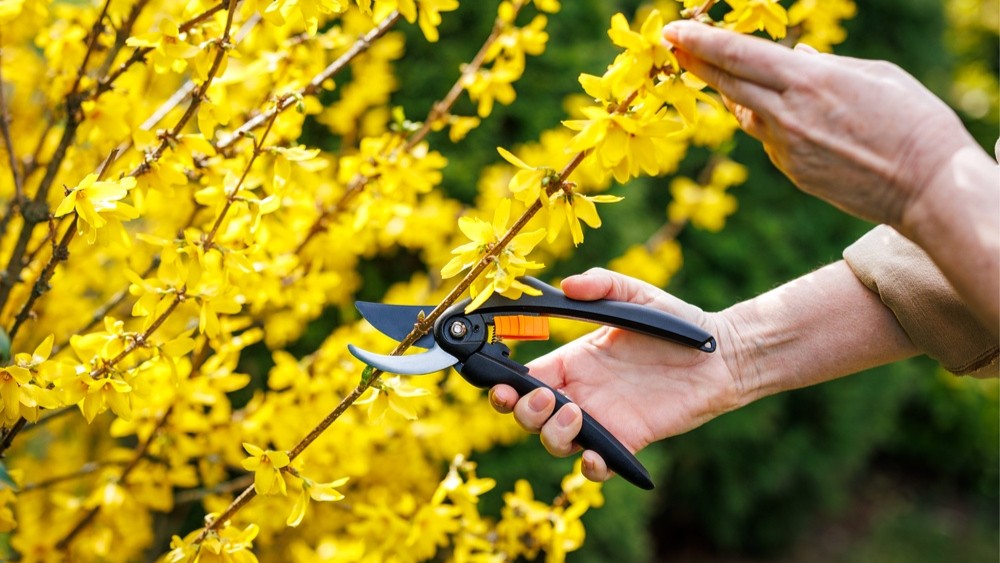 Billede til nyheden Skal alterblomster være friske? Bæredygtighed udfordrer traditionerne i kirken